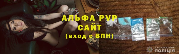 стаф Вязьма