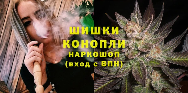 бошки Дмитров