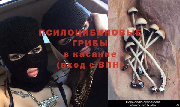кокаин VHQ Гусь-Хрустальный
