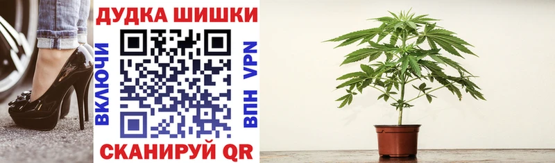 Купить где  Лыткарино  Конопля Ganja 